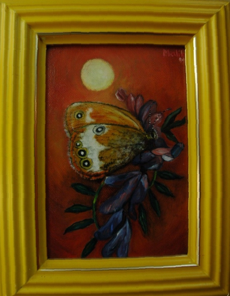 Zo série Motýľ a kvet I